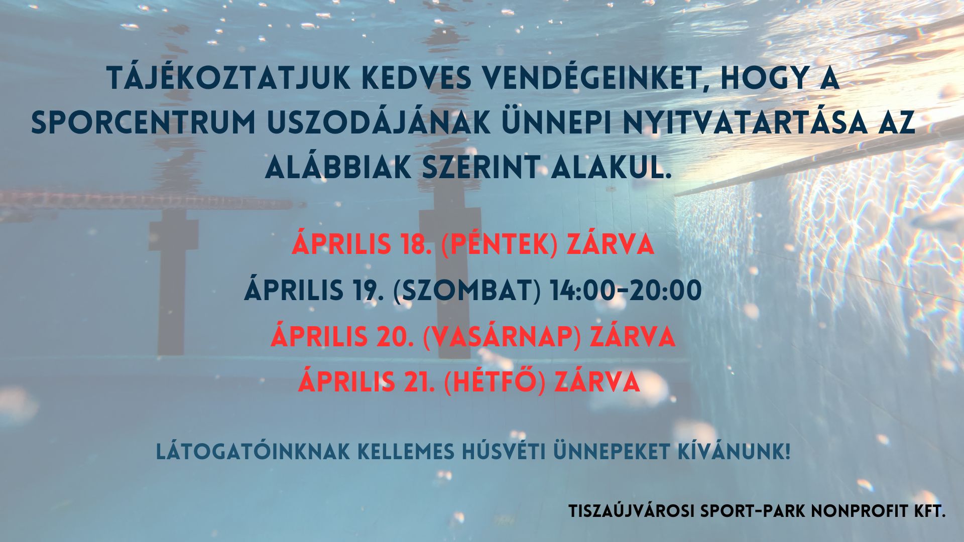 489443234 1220793936713954 1267183186484433352 n